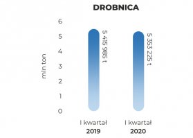 brobnica-Q12020